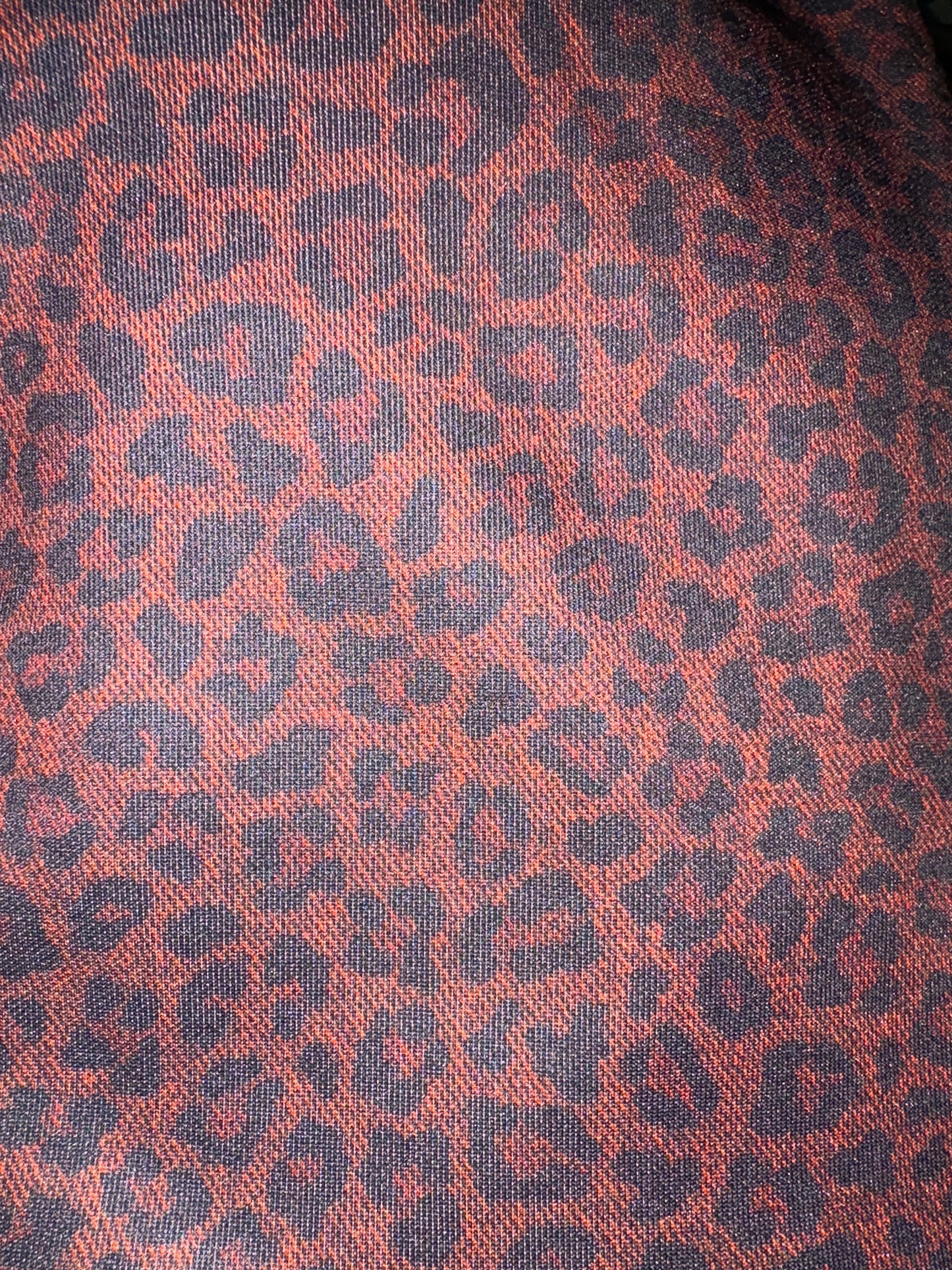 Dark Leopard
