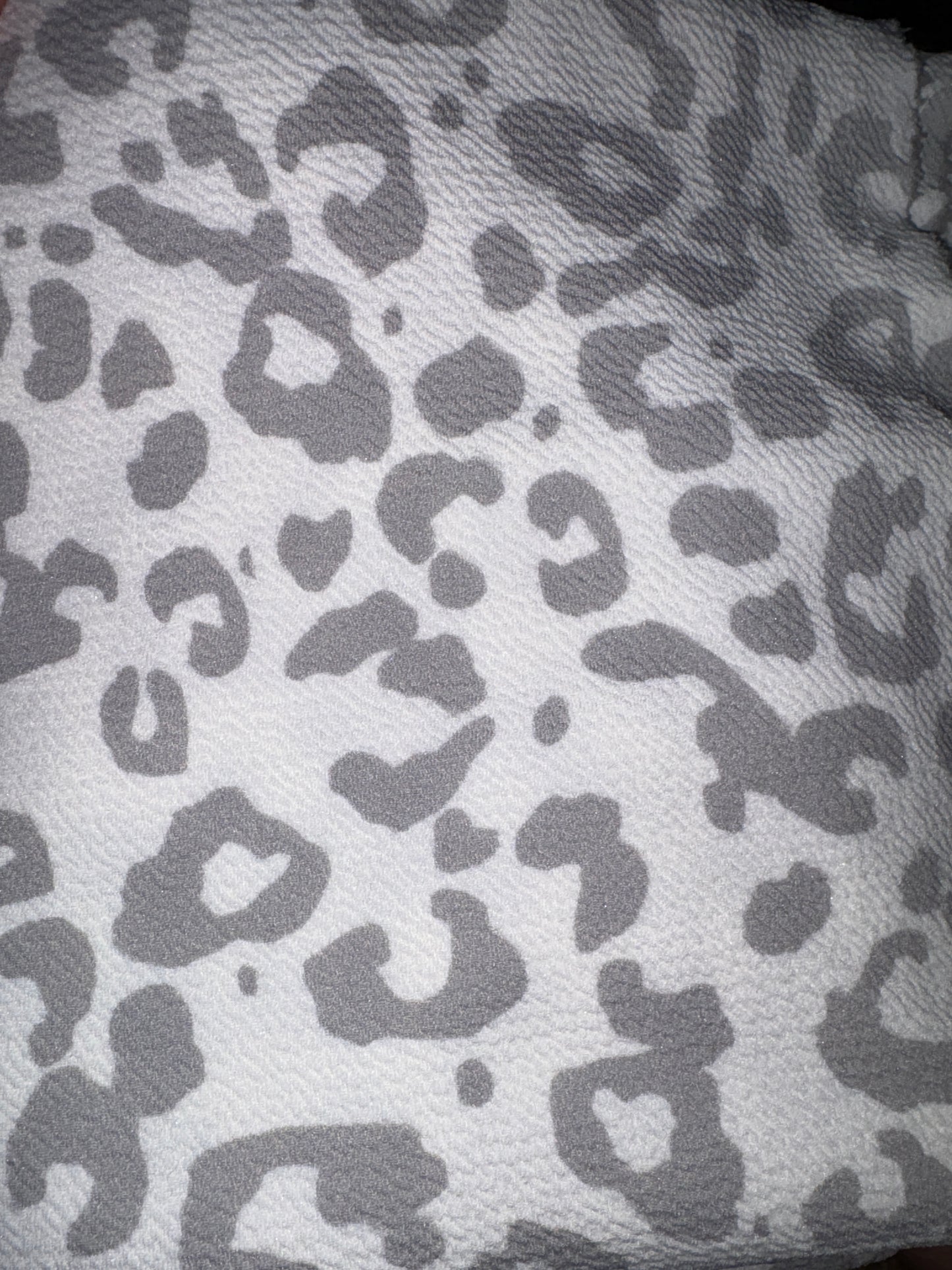 Grey cheetah