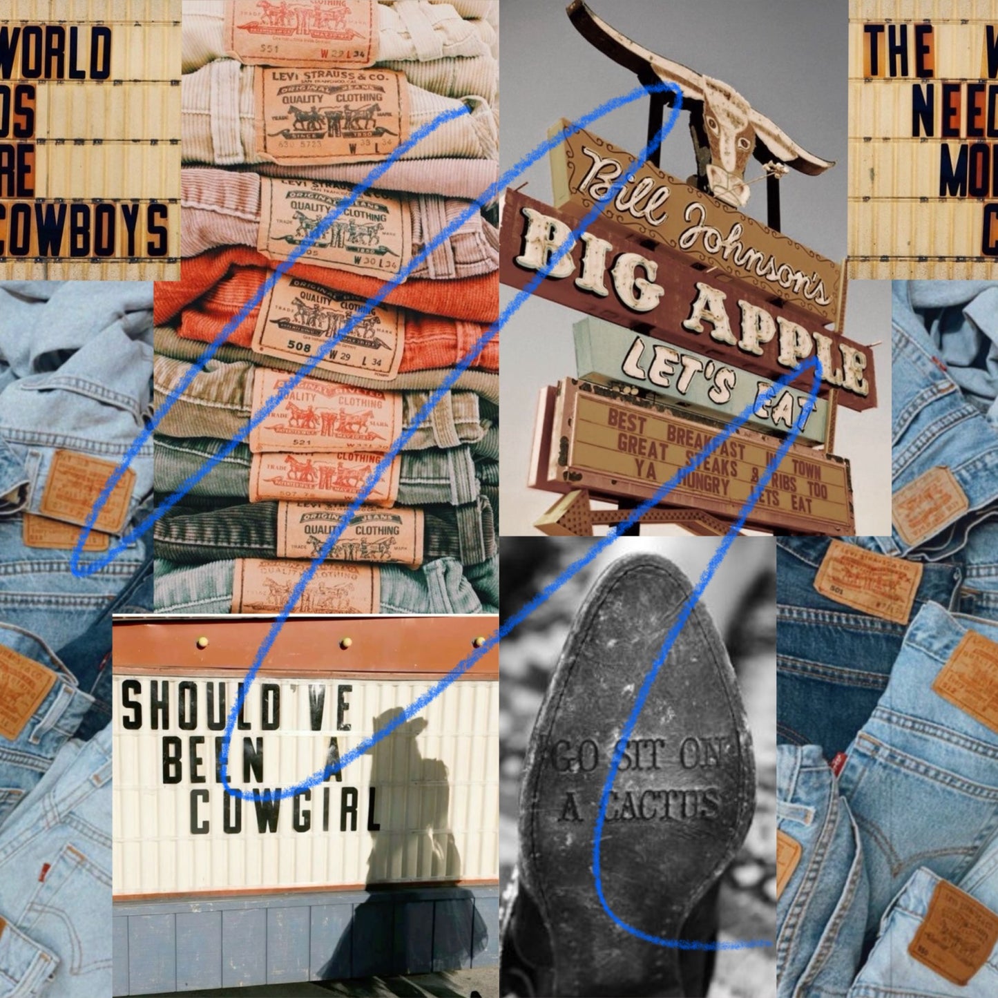 Should’ve been a cowgirl