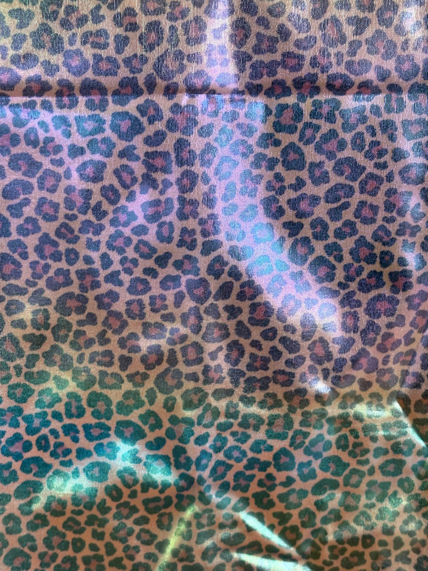 Leopard holographic