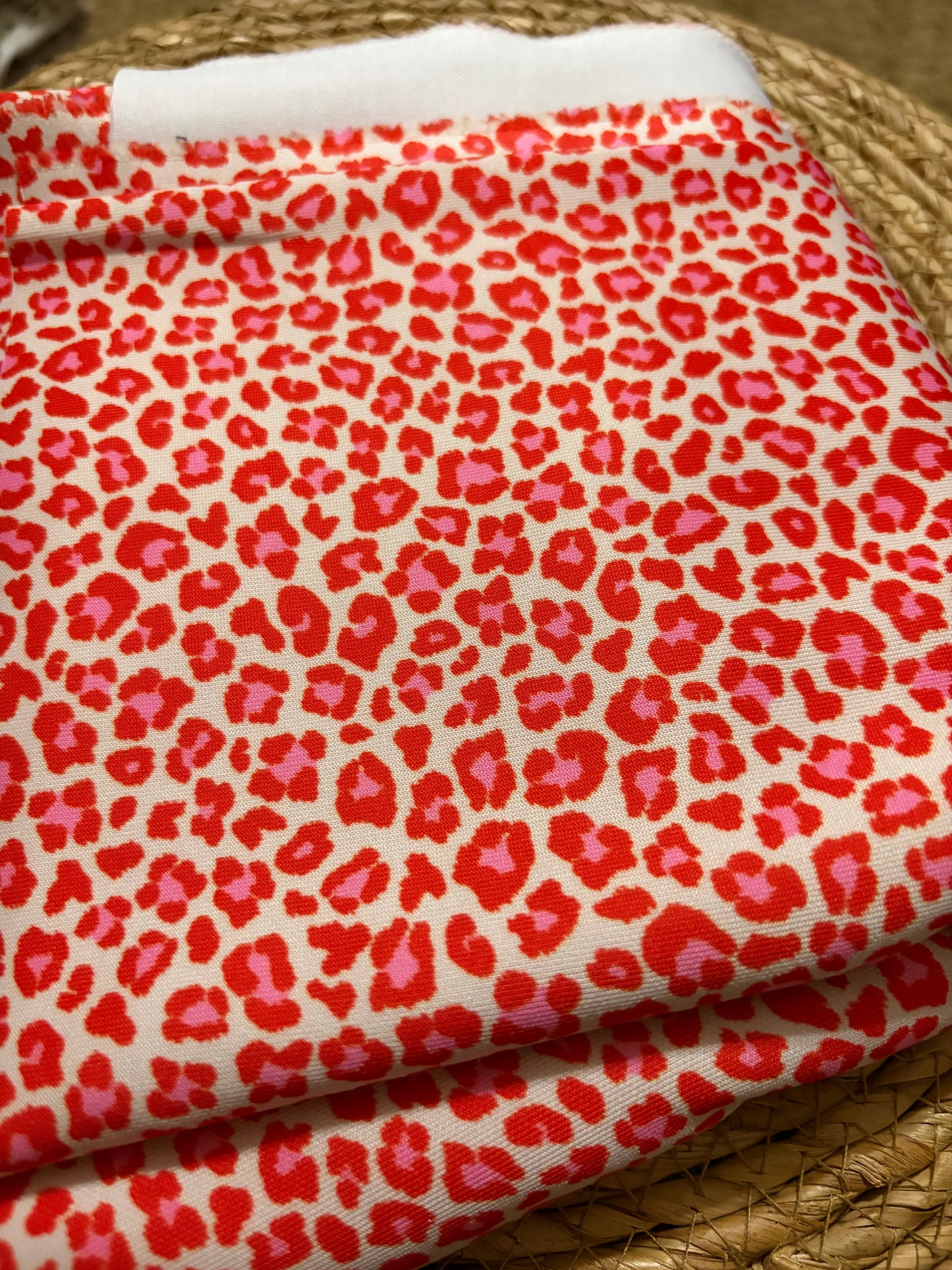 Valentines cheetah