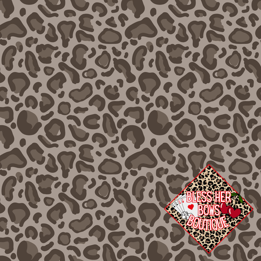 Coordinate Cheetah
