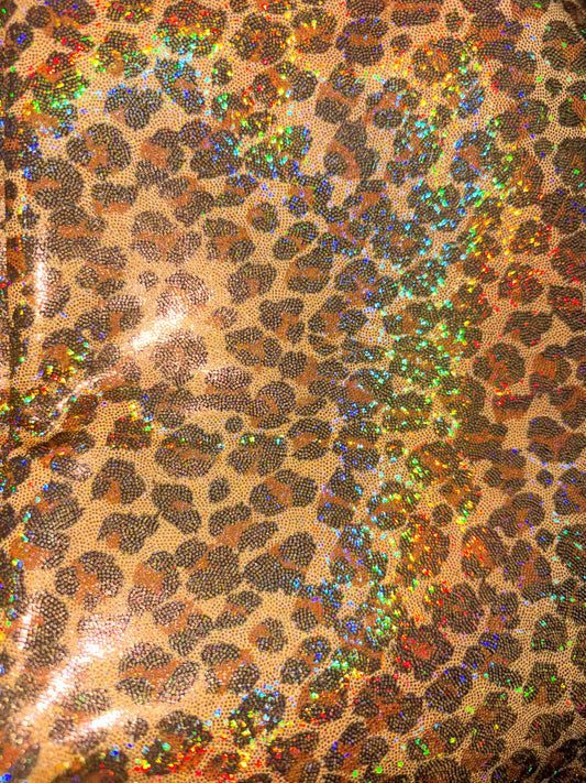 Holo leopard