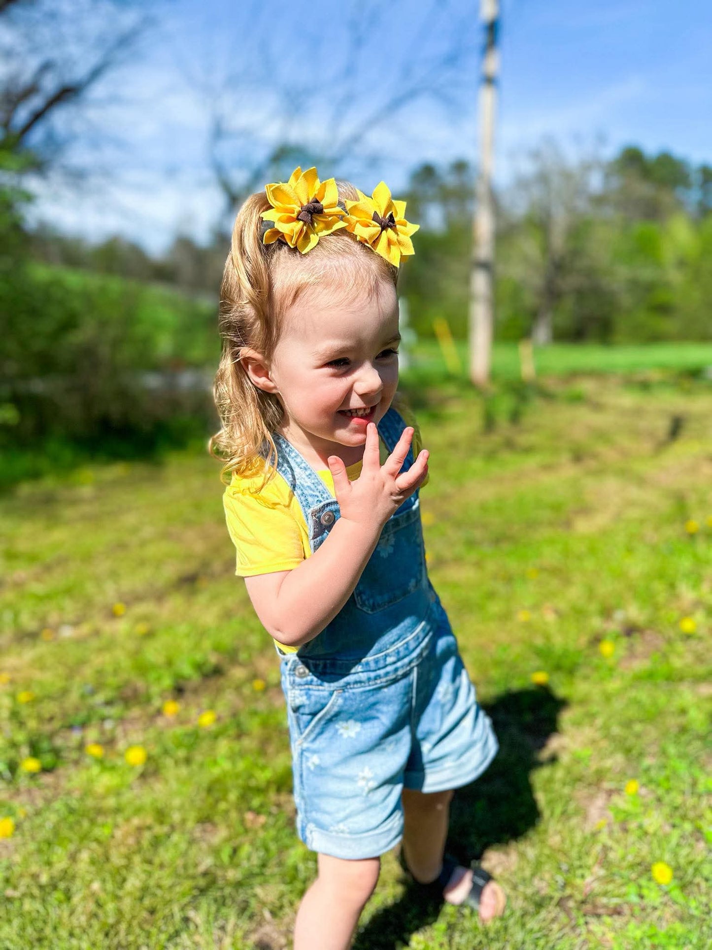 Sunflower 🌻
