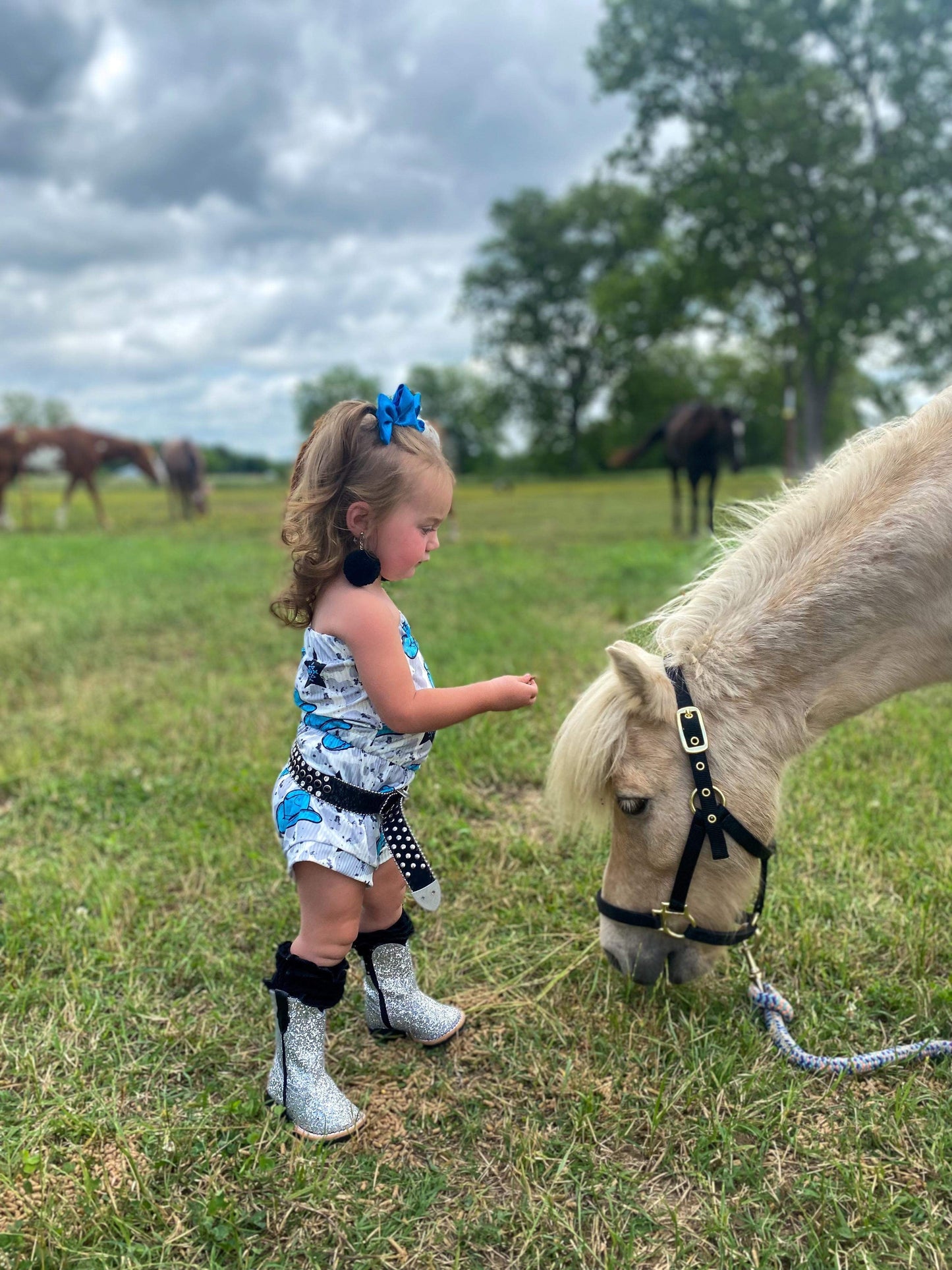 Silver Sparkle Tanner Mark Boots